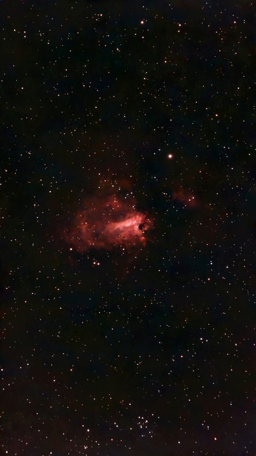 The Omega Nebula: a bright red, swan-shaped cloud of glowing hydrogen in the middle of a dense Milky Way star field.