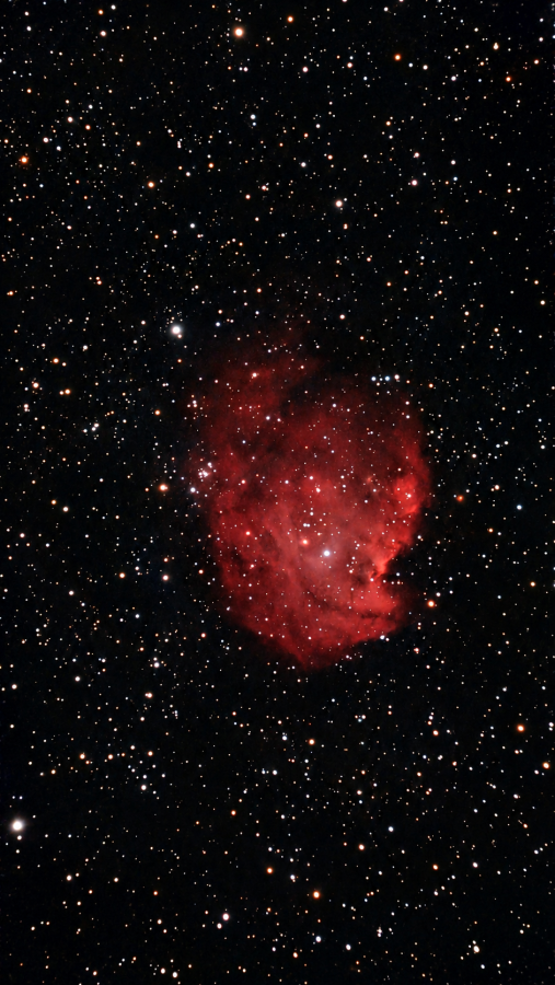 The Monkey Head Nebula: a round cloud of red glowing gas with darker lanes cutting into its lower right edge, surrounded by thousands of stars.